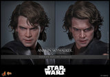 Hot Toys Star Wars Episode III Revenge of the Sith Anakin Skywalker 1/6 Scale 12" Collectible Figure