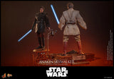 Hot Toys Star Wars Episode III Revenge of the Sith Anakin Skywalker 1/6 Scale 12" Collectible Figure