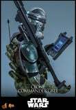 Hot Toys Star Wars: Episode III – Revenge of the Sith Clone Commander Gree 1/6 Scale Collectible Figure