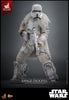 Hot Toys Star War Solo: A Star Wars Story Range Trooper 1/6 Scale 12" Collectible Figure Exclusive