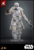Hot Toys Star War Solo: A Star Wars Story Range Trooper 1/6 Scale 12" Collectible Figure Exclusive