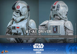 Hot Toys Star Wars: The Mandalorian & Grogu Imperial Remnant AT-AT Driver 1/6 Scale 12" Collectible Figure