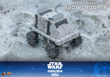 Hot Toys Star Wars: The Mandalorian & Grogu Imperial Remnant Snowtrooper 1/6 Scale 12" Collectible Figure