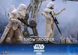 Hot Toys Star Wars: The Mandalorian & Grogu Imperial Remnant Snowtrooper 1/6 Scale 12" Collectible Figure