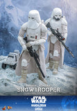 Hot Toys Star Wars: The Mandalorian & Grogu Imperial Remnant Snowtrooper 1/6 Scale 12" Collectible Figure