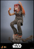 Hot Toys Star Wars: Episode I – The Phantom Menace Jar Jar Binks 1/6 Scale 12" Collectible Figure