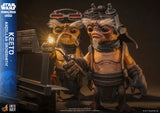 Hot Toys Star Wars: The Mandalorian & Grogu Keeto (Anzellan Droidsmith) Life-Size Collectible Figure