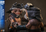 Hot Toys Star Wars: The Mandalorian & Grogu Keeto (Anzellan Droidsmith) Life-Size Collectible Figure