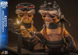 Hot Toys Star Wars: The Mandalorian & Grogu Keeto (Anzellan Droidsmith) Life-Size Collectible Figure