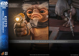 Hot Toys Star Wars: The Mandalorian & Grogu Keeto (Anzellan Droidsmith) Life-Size Collectible Figure