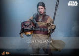 Star Wars: Episode VI - Return of the Jedi Leia Organa (Boushh Disguise) 1/6 Scale 12" Collectible Figure