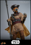 Star Wars: Episode VI - Return of the Jedi Leia Organa (Boushh Disguise) 1/6 Scale 12" Collectible Figure