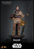 Star Wars: Episode VI - Return of the Jedi Leia Organa (Boushh Disguise) 1/6 Scale 12" Collectible Figure