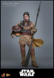 Star Wars: Episode VI - Return of the Jedi Leia Organa (Boushh Disguise) 1/6 Scale 12" Collectible Figure