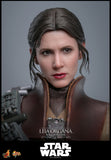 Star Wars: Episode VI - Return of the Jedi Leia Organa (Boushh Disguise) 1/6 Scale 12" Collectible Figure