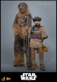 Star Wars: Episode VI - Return of the Jedi Leia Organa (Boushh Disguise) 1/6 Scale 12" Collectible Figure