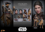 Star Wars: Episode VI - Return of the Jedi Leia Organa (Boushh Disguise) 1/6 Scale 12" Collectible Figure
