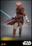 Hot Toys Star Wars: The Clone Wars Plo Koon 1/6 Scale 12" Collectible Figure