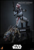 Hot Toys Star Wars: The Clone Wars Sergeant Hound 1/6 Scale 12" Collectible Figure