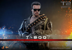 Hot Toys Terminator 2: Judgement Day T-800 (2.0) 1/6 Scale 12" Collectible Figure