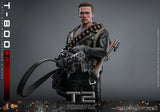 Hot Toys Terminator 2: Judgement Day T-800 (2.0) 1/6 Scale 12" Collectible Figure