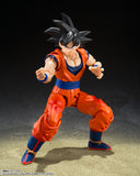 Bandai S.H.Figuarts Dragon Ball Z Son Goku (Kind-hearted Saiyan) Action Figure