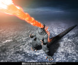 Bandai S.H.MonsterArts Godzilla: Final Wars (2004) Godzilla (Heat Ray Ver. Vs. New Gotengo) Action Figure