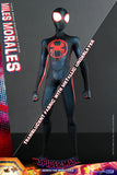 Hot Toys Marvel Spider-Man: Across The Spider-Verse Spider-Man (Miles Morales) 1/6 Scale Collectible Figure