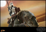 Hot Toys Star Wars: A New Hope Sandtrooper Sergeant 1/6 Scale 12" Collectible Figure