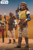 Sideshow Star Wars: Return of the Jedi Scum & Villainy VIZAM 1/6 12" Collectible Figure