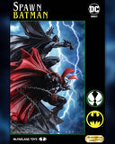 Mcfarlane Toys Collector’s Club DC Direct Batman & Spawn Resin Statue