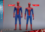 Hot Toys Marvel Comics The Amazing Spider-Man: Spider-Man (Deluxe Version) 1/6 Scale 12" Collectible Figure