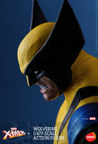 Hot Toys Honō Studio Marvel Comics X-Men Wolverine 1/6 Scale 12" Collectible Figure