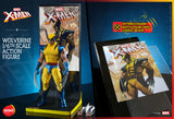 Hot Toys Hono Studio Marvel Comics X-Men Wolverine 1/6 Scale 12" Collectible Figure