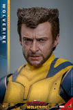 Hot Toys Marvel Comics Deadpool & Wolverine Wolverine (Deluxe Version) 1/6 Scale 12" Collectible Figure