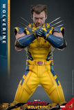 Hot Toys Marvel Comics Deadpool & Wolverine Wolverine (Deluxe Version) 1/6 Scale 12" Collectible Figure