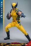 Hot Toys Marvel Comics Deadpool & Wolverine Wolverine (Deluxe Version) 1/6 Scale 12" Collectible Figure