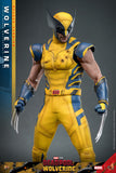 Hot Toys Marvel Comics Deadpool & Wolverine Wolverine (Deluxe Version) 1/6 Scale 12" Collectible Figure