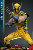 Hot Toys Marvel Comics Deadpool & Wolverine Wolverine (Deluxe Version) 1/6 Scale 12" Collectible Figure