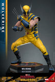 Hot Toys Marvel Comics Deadpool & Wolverine Wolverine (Deluxe Version) 1/6 Scale 12" Collectible Figure