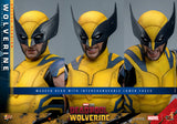 Hot Toys Marvel Comics Deadpool & Wolverine Wolverine (Deluxe Version) 1/6 Scale 12" Collectible Figure