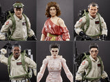 Hasbro Ghostbusters Plasma Series Wave 1 Set of 6 Figures (Terror Dog BAF)