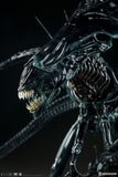 Sideshow Aliens Collectibles Alien Queen Maquette Statue