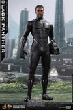Hot Toys Marvel Black Panther Black Panther 1/6 Scale 12" Figure
