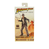 Hasbro Indiana Jones Adventure Series Raiders of the Lost Ark Indiana Jones 6-inch Action Figure