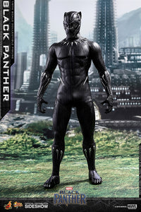 Hot Toys Marvel Black Panther Black Panther 1/6 Scale 12" Figure