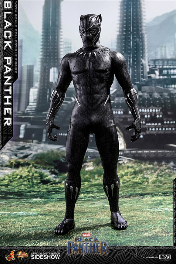 Hot Toys Marvel Black Panther Black Panther 1/6 Scale 12
