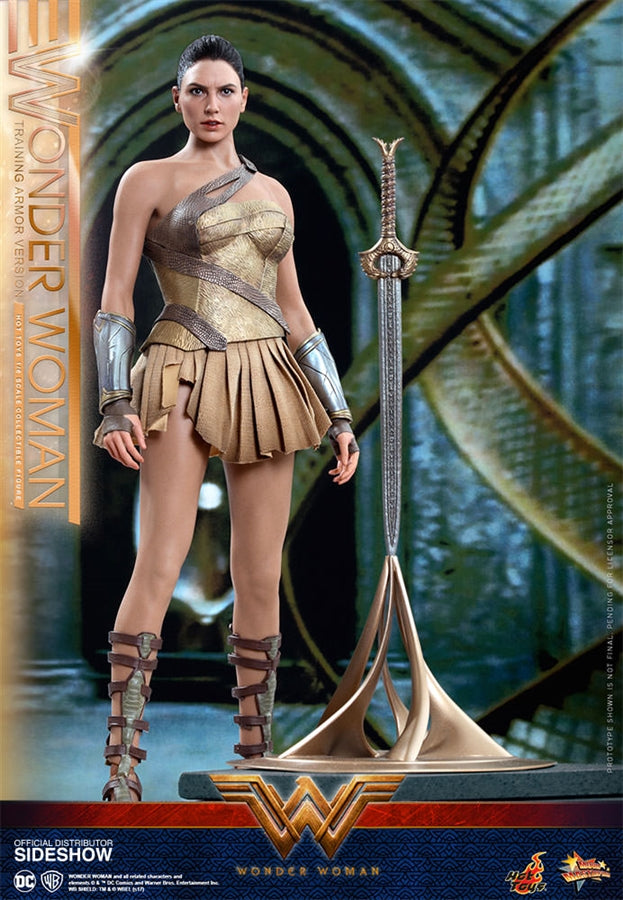 Wonder Woman （トレーニング・アーマー版） 未開封品 Hot Toys DC Comics Wonder Woman (Training Armor Version) 1/6 Scale