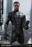 Hot Toys Marvel Black Panther Black Panther 1/6 Scale 12" Figure