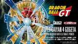 Bandai Tamashii Nations Web Shop Exclusive Figuarts ZERO Dragon Ball GT Super Saiyan 4 Gogeta Saiyan Warrior with Ultimate Power Dokkan Battle 7th Anniversary × Figuarts Zero [Extra Battle] Collab